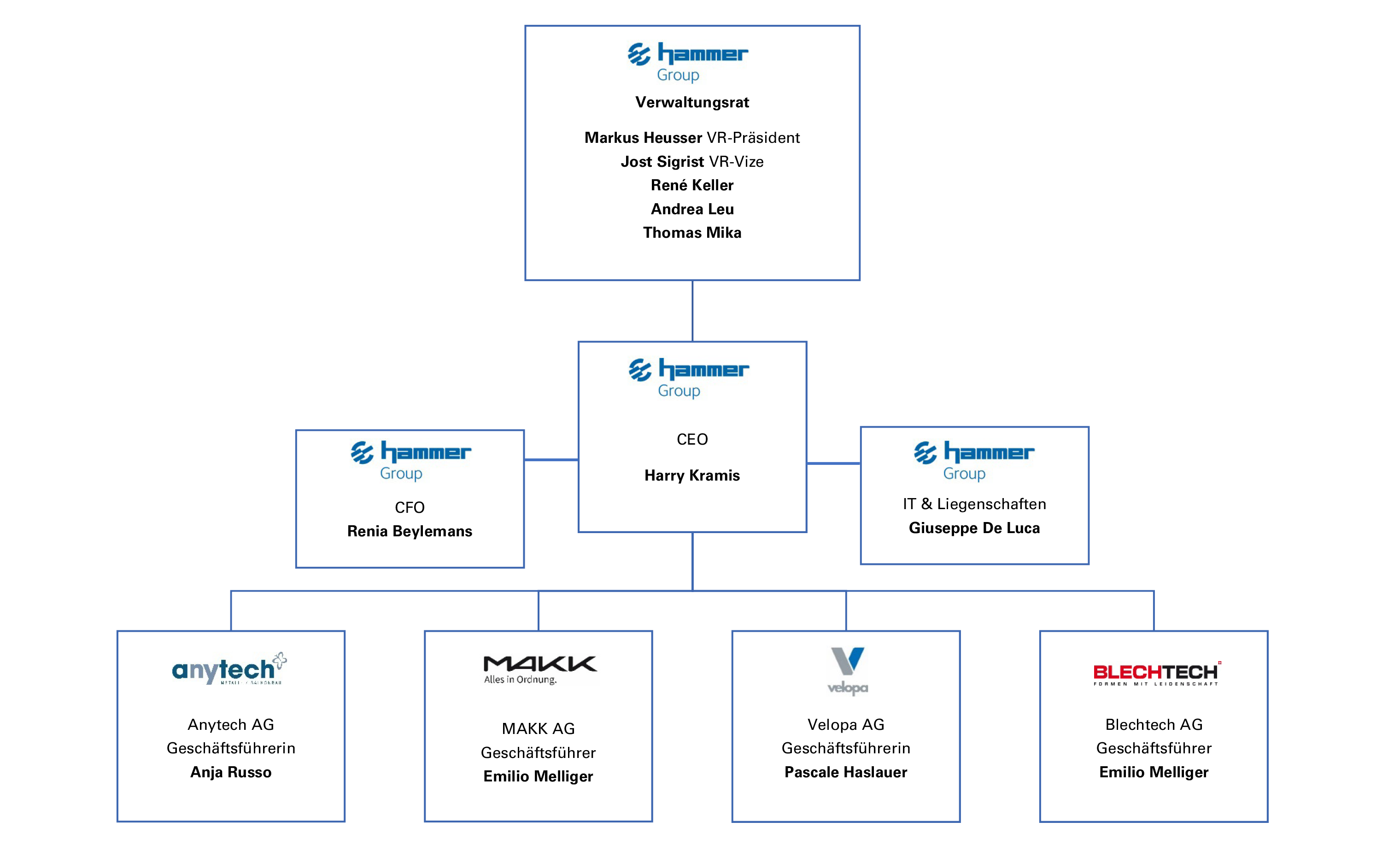 Organigramm Hammer Gruppe 2025