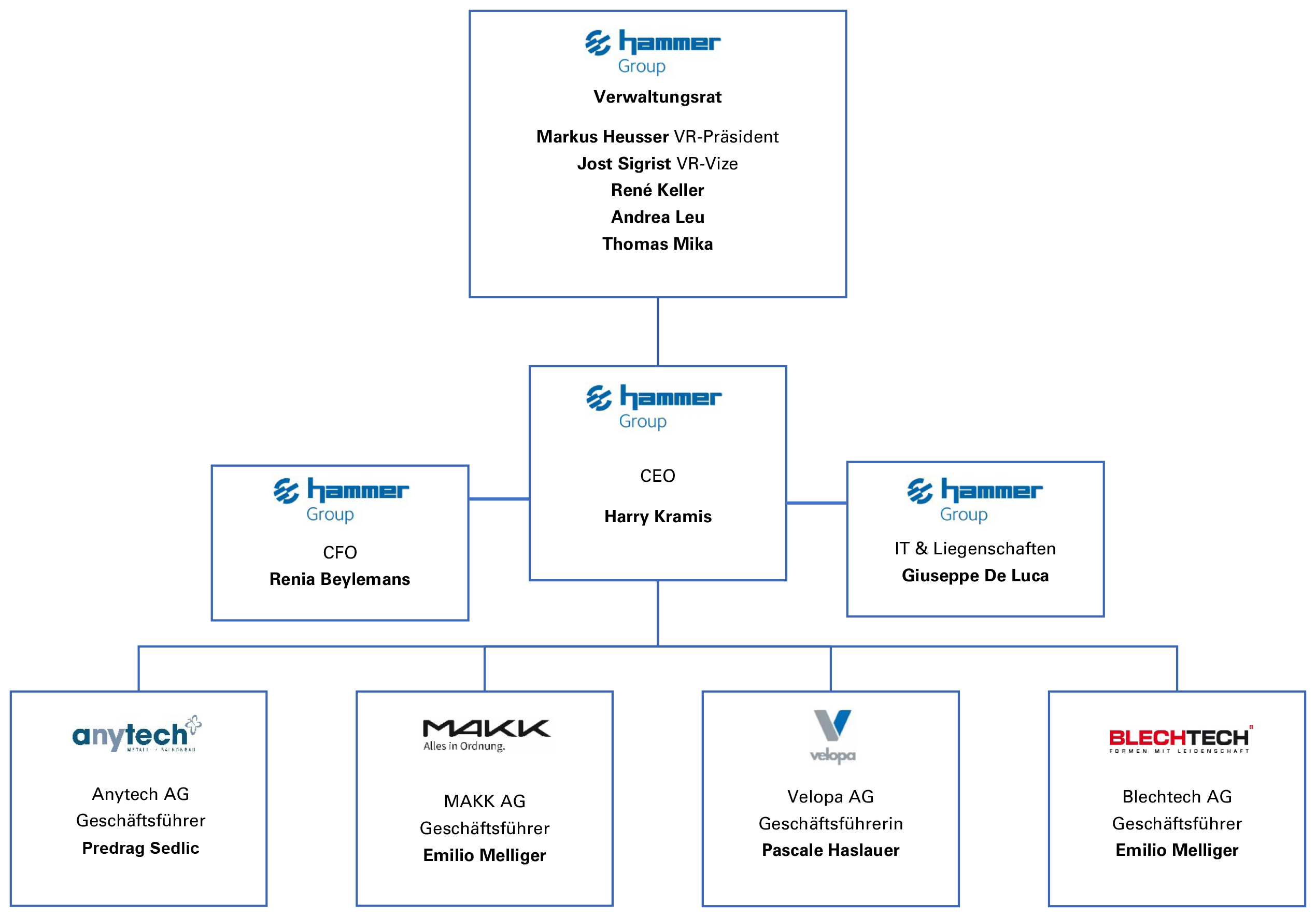 Organigramm Hammer Gruppe 2025